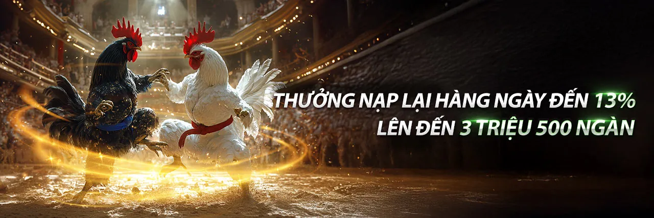Sân chơi đá gà trực tuyến HWIN kịch tính